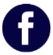 facebook_icon